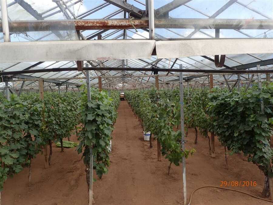 Property photo 7