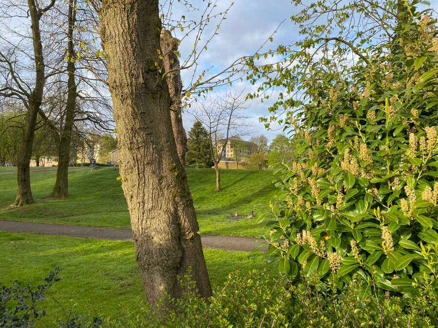 Property photo 7