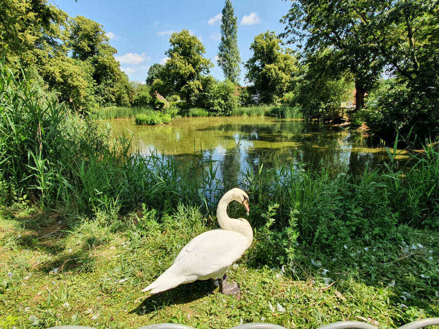 Property photo 6