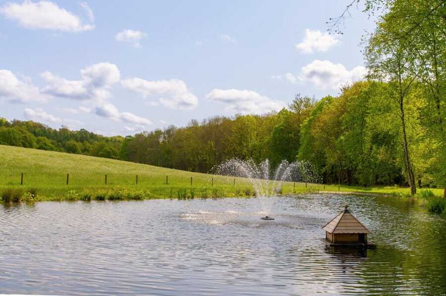 Property photo 6