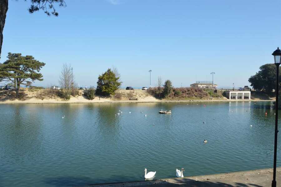 Property photo 7