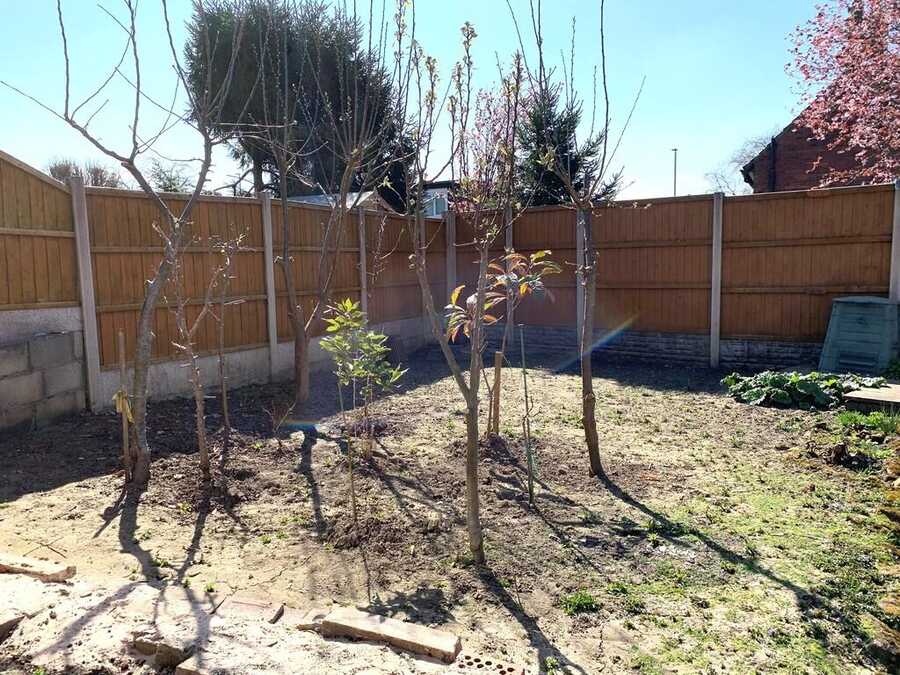 Property photo 6