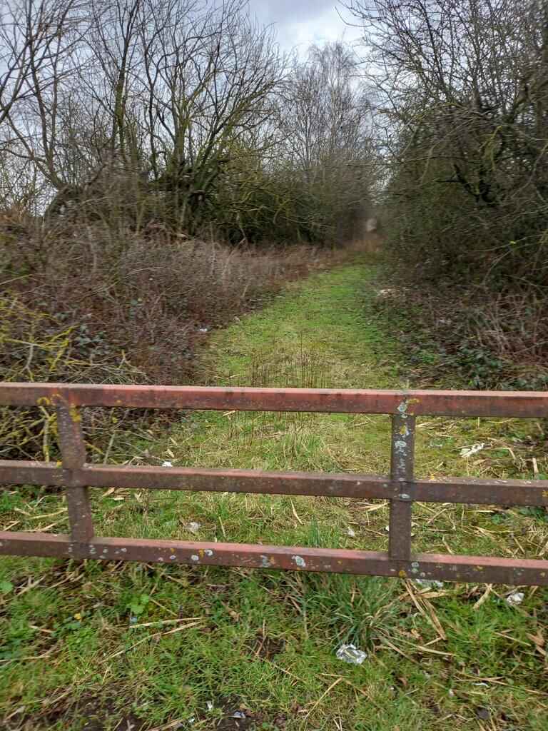 Property photo 6